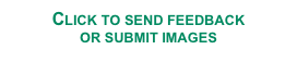 Click to send feedback
or submit images